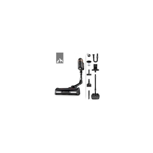 ROWENTA RH99F1WO Aspirateurs